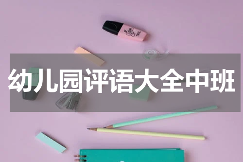 幼儿园评语大全中班