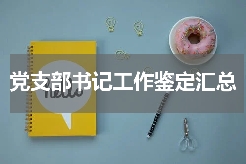 党支部书记工作鉴定汇总