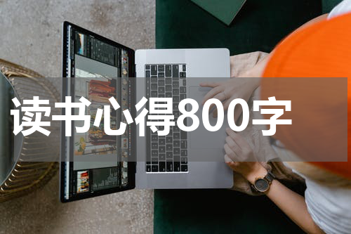 读书心得800字