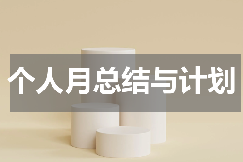 个人月总结与计划
