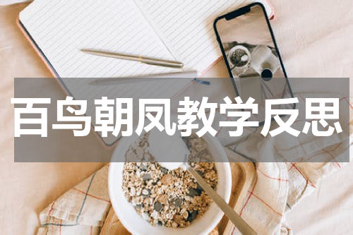 百鸟朝凤教学反思