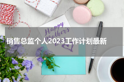 销售总监个人2023工作计划最新