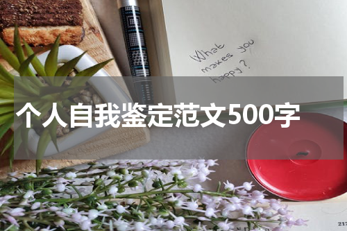 个人自我鉴定范文500字