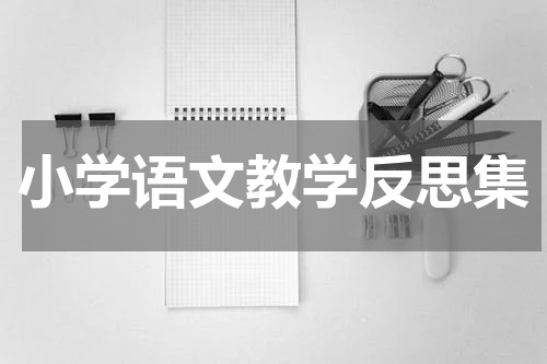 小学语文教学反思集
