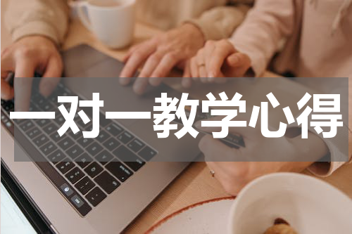 一对一教学心得