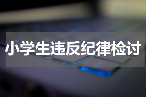 小学生违反纪律检讨