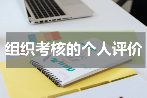 组织考核的个人评价