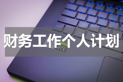 财务工作个人计划