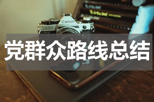 党群众路线总结