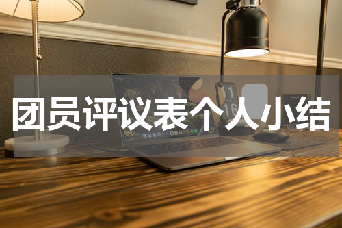 团员评议表个人小结