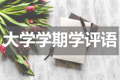 大学学期学评语