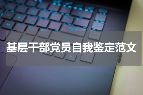 基层干部党员自我鉴定范文