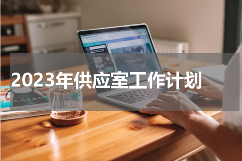 2023年供应室工作计划