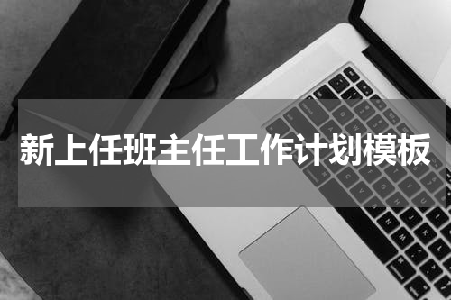 新上任班主任工作计划模板