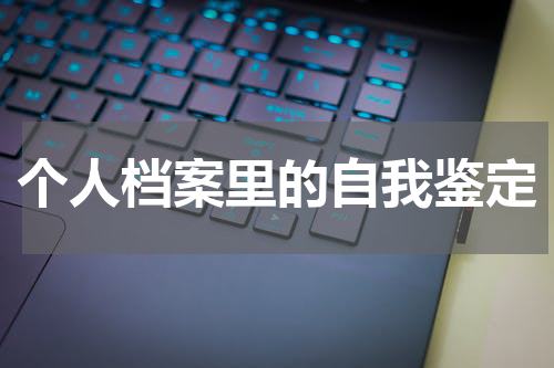 个人档案里的自我鉴定
