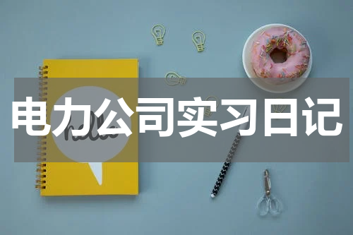 电力公司实习日记