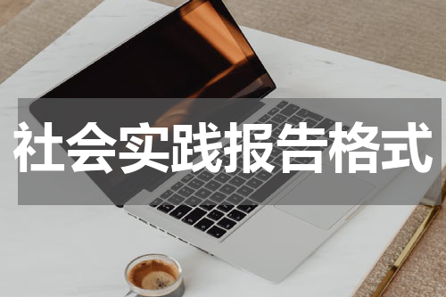 社会实践报告格式