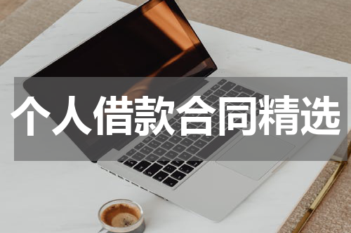 个人借款合同精选