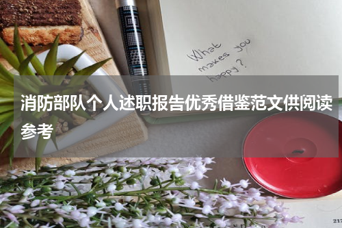 消防部队个人述职报告优秀借鉴范文供阅读参考