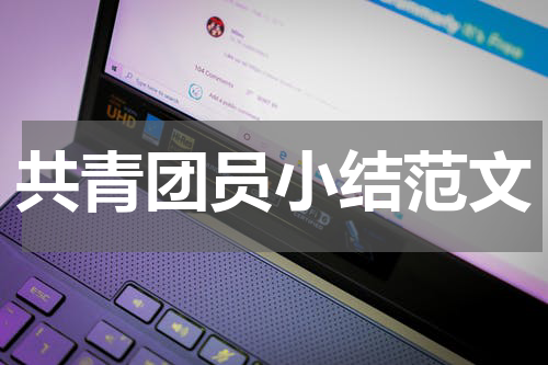 共青团员小结范文