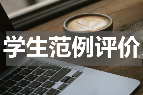 学生范例评价
