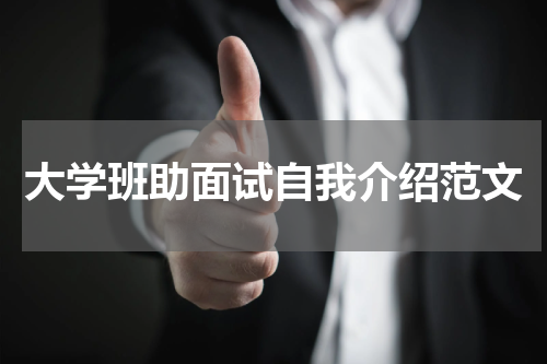 大学班助面试自我介绍范文