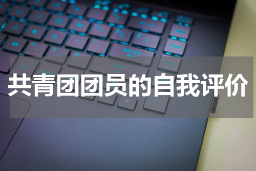 共青团团员的自我评价