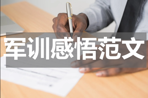 军训感悟范文