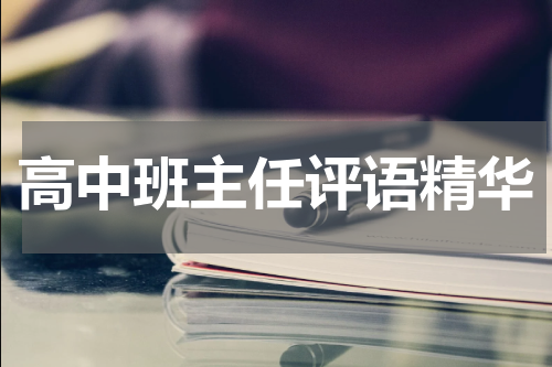 高中班主任评语精华
