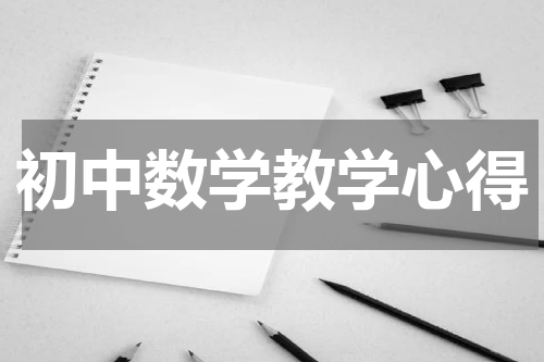 初中数学教学心得