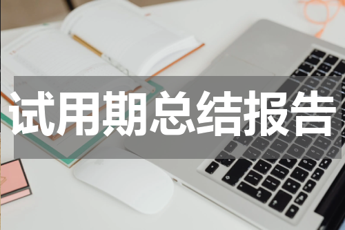 试用期总结报告