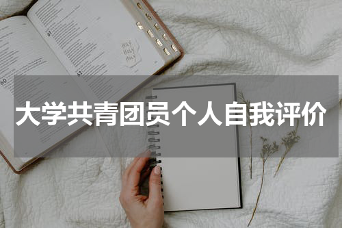 大学共青团员个人自我评价