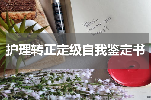 护理转正定级自我鉴定书
