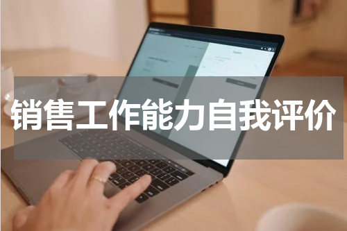 销售工作能力自我评价