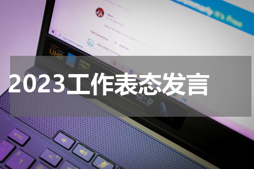 2023工作表态发言