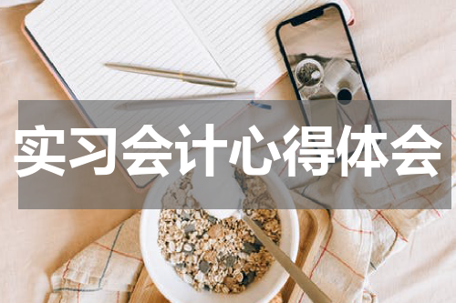 实习会计心得体会