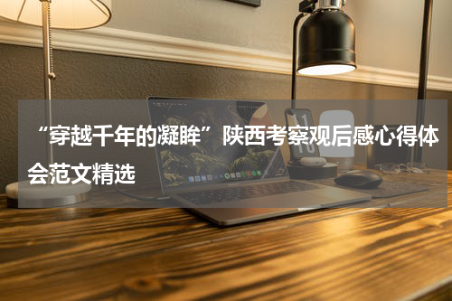 “穿越千年的凝眸”陕西考察观后感心得体会范文精选