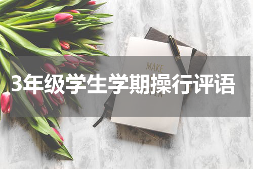 3年级学生学期操行评语