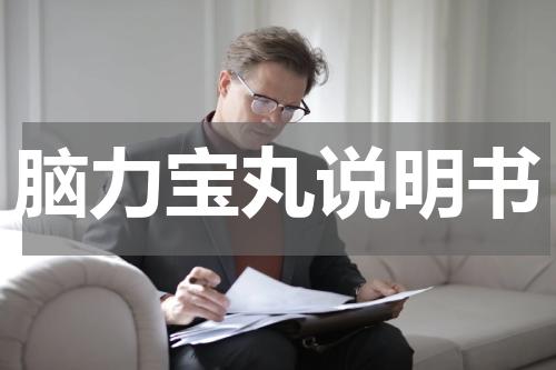 脑力宝丸说明书