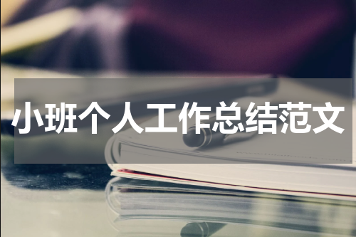 小班个人工作总结范文