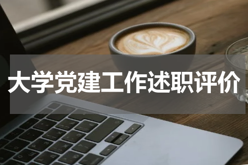 大学党建工作述职评价