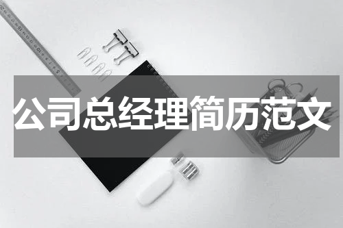 公司总经理简历范文