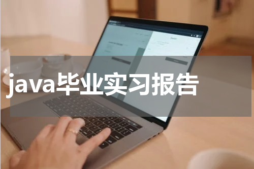 java毕业实习报告