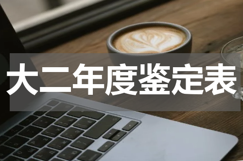 大二年度鉴定表