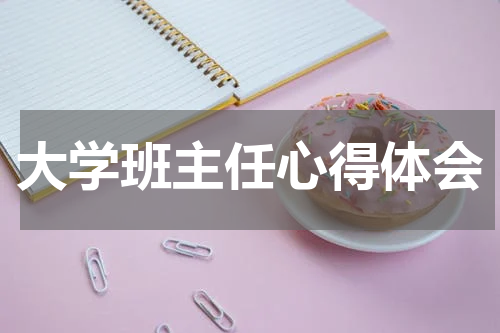 大学班主任心得体会