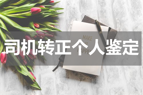 司机转正个人鉴定