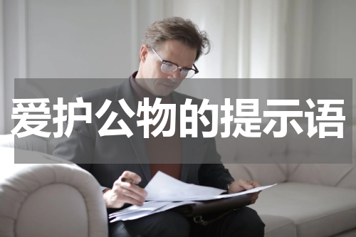 爱护公物的提示语