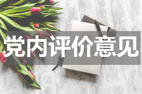 党内评价意见