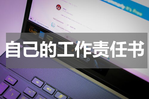 自己的工作责任书