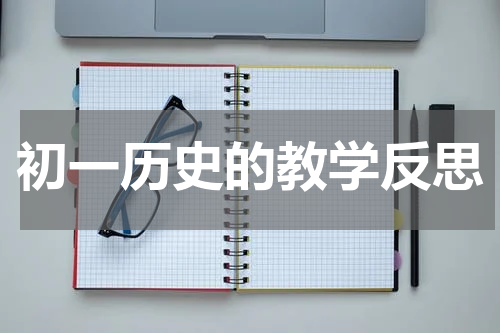 初一历史的教学反思